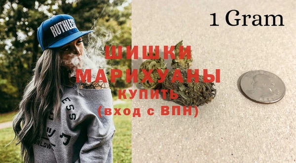 хмурый Абаза