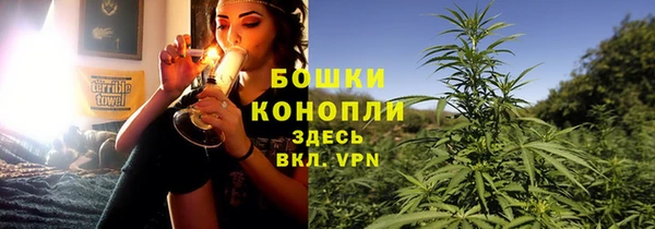 крисы Абдулино